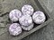 *10* 15mm Purple Luster Picasso Washed Alabaster Thick Coin Beads